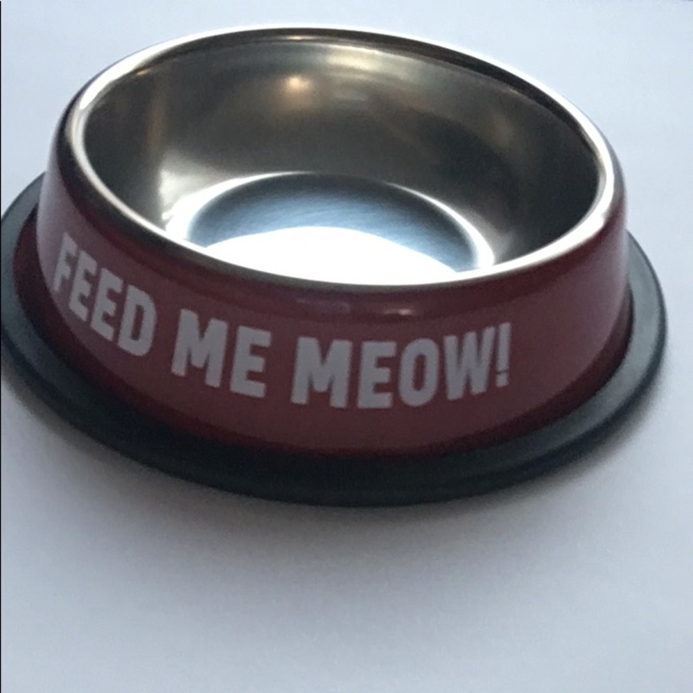 New Cat Kitten Pet Starter Boxed Gift Set Toys Dish Collar - Picture 5 of 9